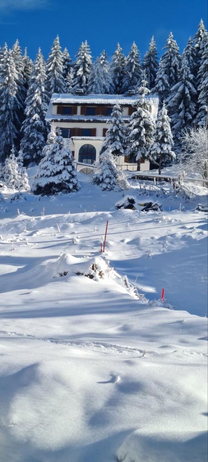 Villa Kostic Κοπαόνικ Εξωτερικό φωτογραφία